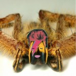 Ziggy Stardust and the Spider from Malaysia